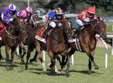 Survie, after Christophe Clement win, may not start again until Breeders' Cup