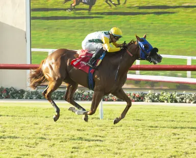Fight Back offers value from the rail