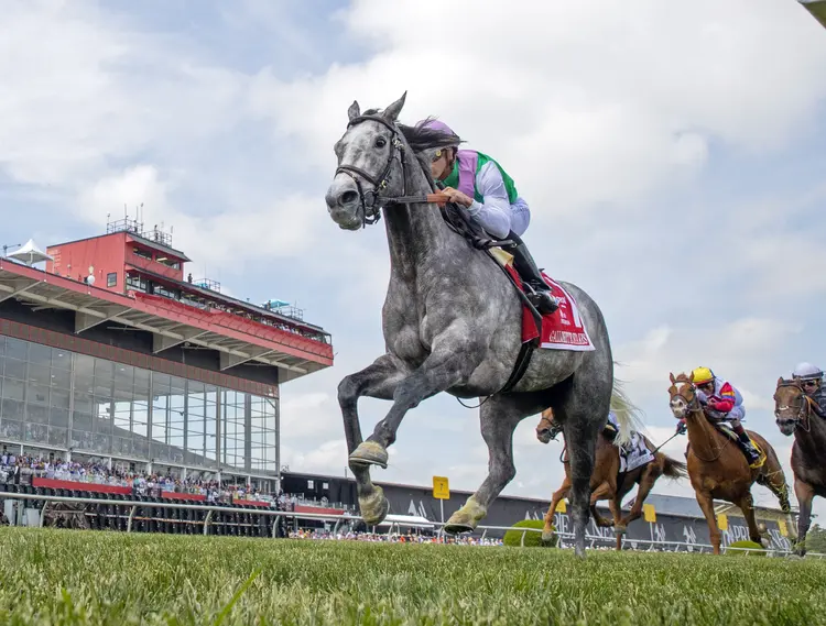 Whitebeam wins Gallorette at PIM May 20 2023