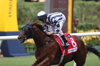 Zac Purton rides quartet, Seasons Wit extends winning streak at Happy Valley