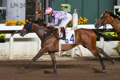 Adefill’s imposing dirt record boosts Karis Teetan’s confidence