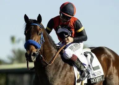 After wife's death, Glatt carries heavy heart into San Felipe