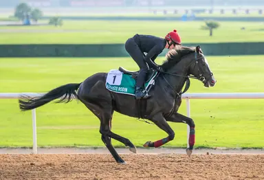 Japanese distaffers will make Auguste Rodin work in Sheema Classic