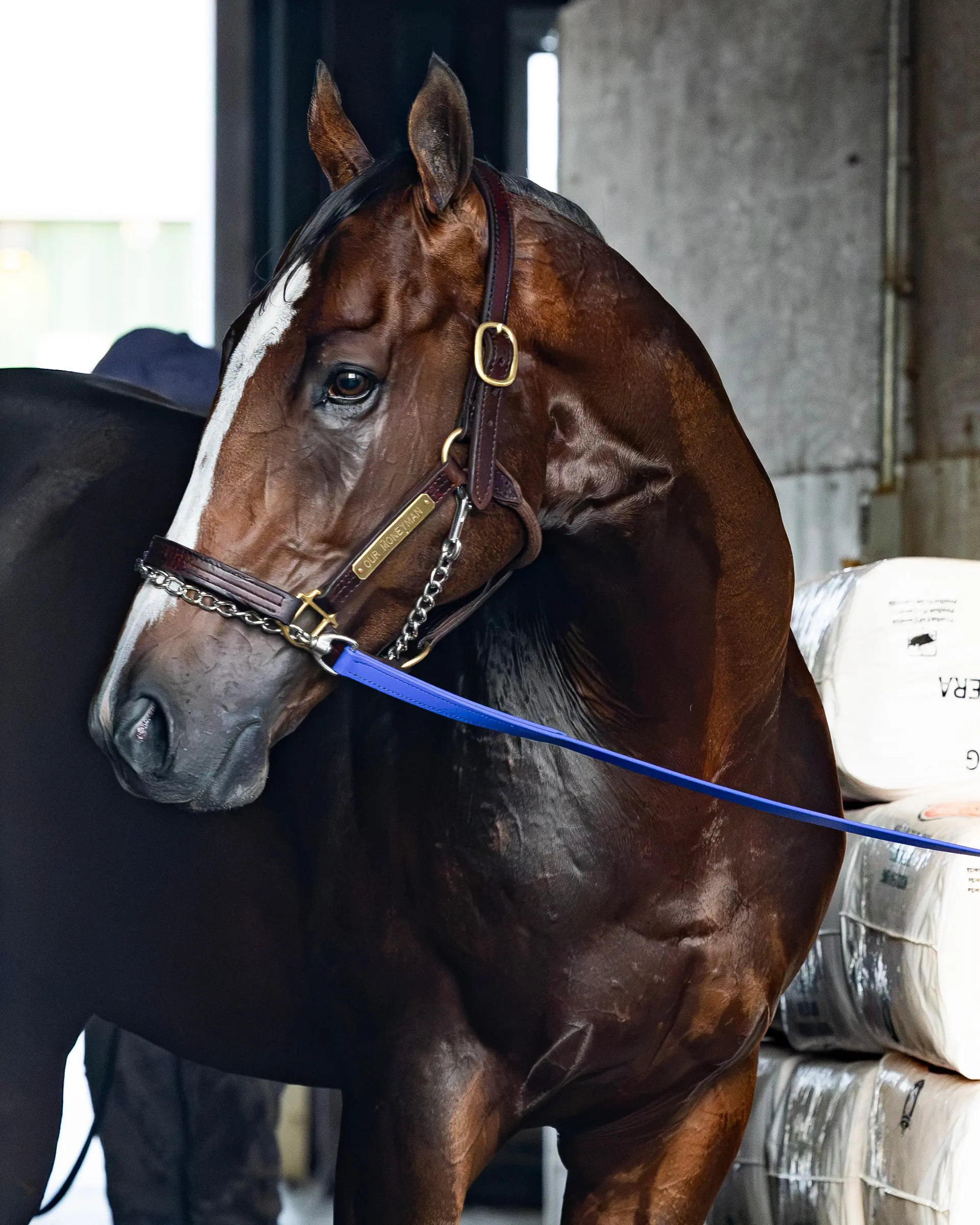 Pennsylvania Derby: Our Moneyman looks to parlay cleaner trip into upset