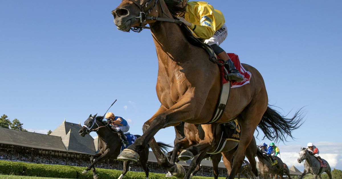 Evershed gets perfect trip en route to Waya victory