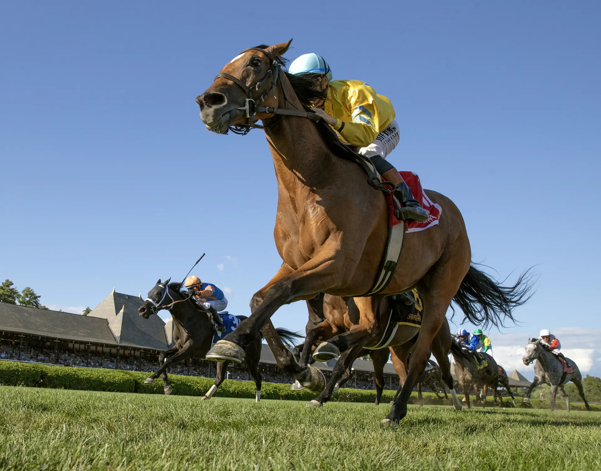 Evershed gets perfect trip en route to Waya victory