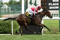 Alpyland has no problem with distance in American Derby