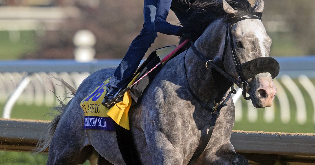 Breeders' Cup Clocker: Englishman steals the show from Classic 3-year-olds