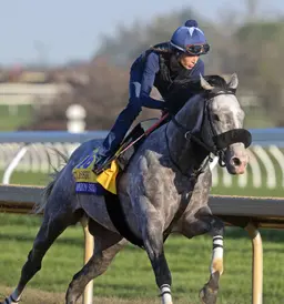 Breeders' Cup Clocker: Englishman steals the show from Classic 3-year-olds