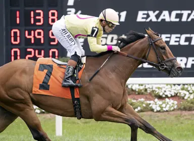 Brown, rarely a bridesmaid in the Matchmaker, has two top chances