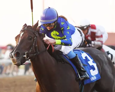 Crypto Mo pays dividends with Grade 3 win, $500K sale