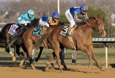 Paladin has big shoes to fill in the Risen Star