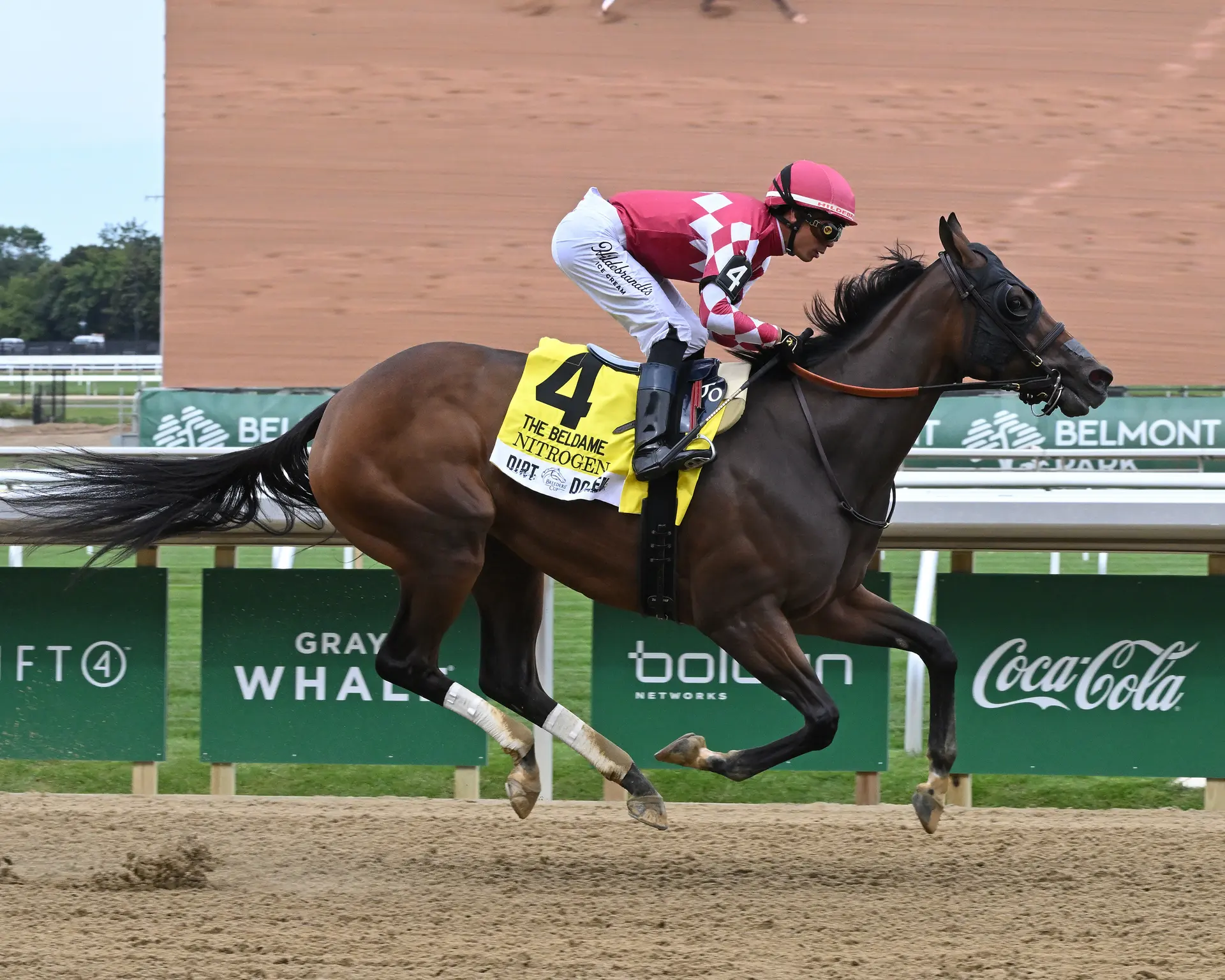 Nitrogen points to BC Distaff, will race as 5-year-old