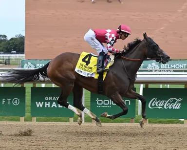 Nitrogen points to BC Distaff, will race as 5-year-old