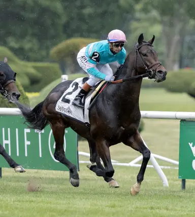 Zulu Kingdom well-positioned for bounceback in Kelso