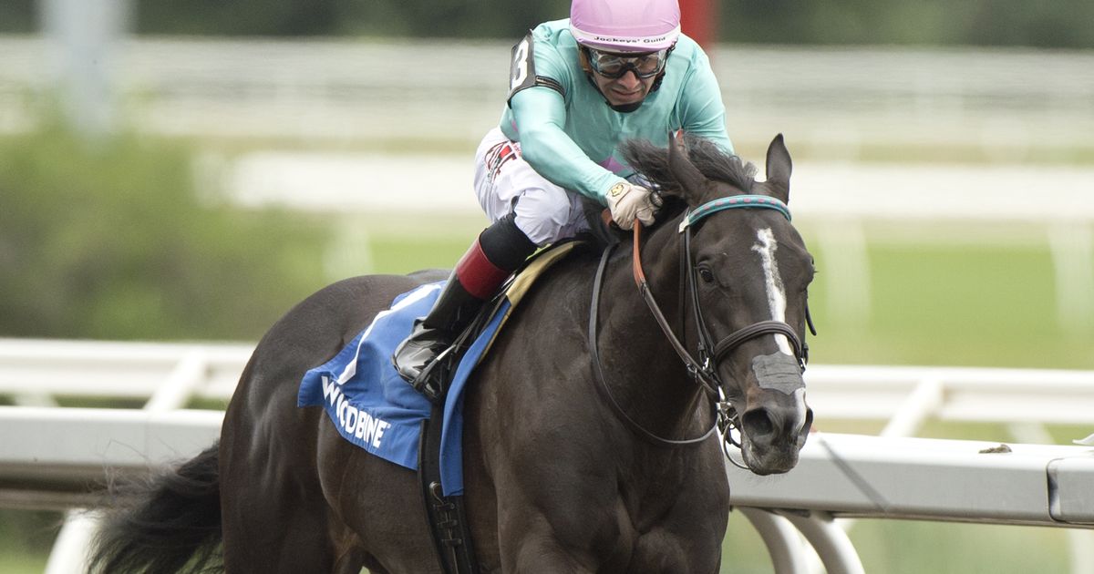 Olivia Rose will try to stretch speed in Eternal Search