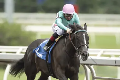 Olivia Rose will try to stretch speed in Eternal Search