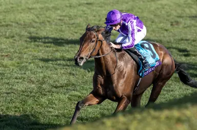 Breeders' Cup Juvenile Fillies Turf: Sun Goddess impressive in easy victory