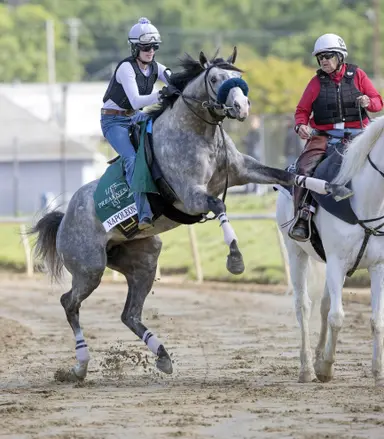 Preakness 2026: Free analysis from Daily Racing Form handicappers