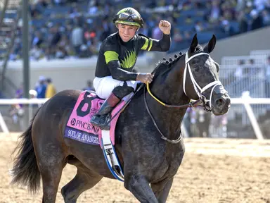 Champion Soul of an Angel selling on Fasig-Tipton Digital platform
