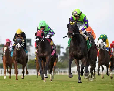 Turf sprint should set up well for Imaboutago