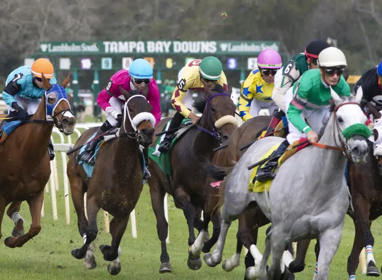 Tampa Bay Downs scenic.2-11-23.TK_.jpg