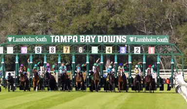DRF's Horse Racing Playbook for Sunday, February 15