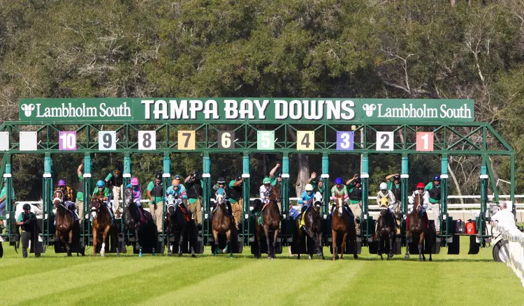 Tampa Bay Downs01.12-10-22.TK_.jpg