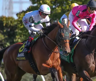 Rapid Test needs to turn the tables on Paramount Prince for Overskate repeat