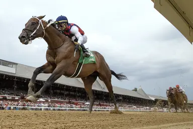 DRF's Horse Racing Playbook for Friday, Oct. 30, 2026
