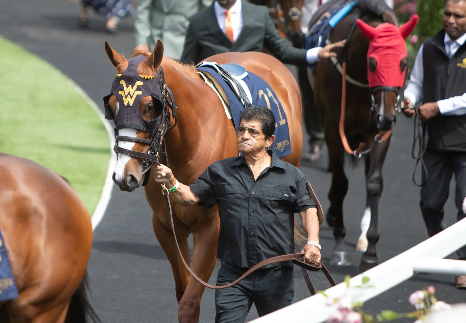 Holmby, Ruiva head sterling field of six in Sorrento Stakes