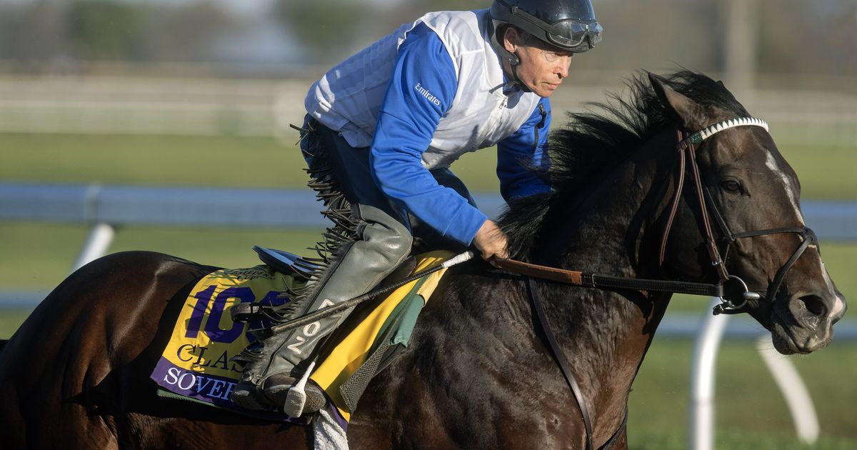 Breeders' Cup Classic: Sovereignty looks strong in half-mile work