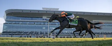 Let Em Know eases Whitman's September pain with win in Pilgrim