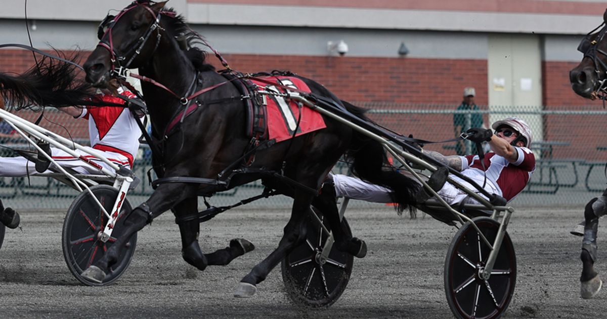 Yonkers: Best Chip, Up Your Deo prevail in Aria, Bob Miecuna Invitationals