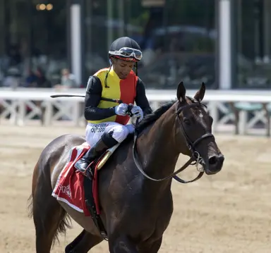 Streaking Sounds Like a Plan aims at first stakes win in West Point