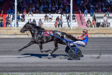 Shenandoah Downs: 2026 spring meet kicks off April 11 with Roger Hammer tribute