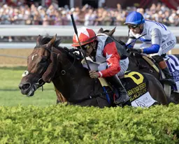 Glacius leads all the way in Saratoga Derby