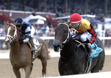 After key scratches, Booked likely favorite in Sanford