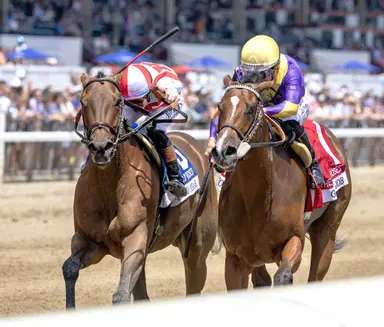 Ways and Means catches Grand Job on the wire in Bed o' Roses