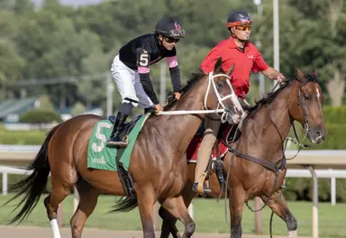 Lonesome Road makes stakes debut in Boston Handicap