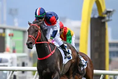 Frankie Lor eyes tactical switch for Numbers in Standard Chartered Champions & Chater Cup