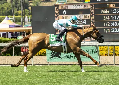 Thought Process shows development with Gamely victory