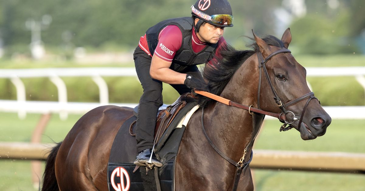 Jerkens expectations sky high for Englishman