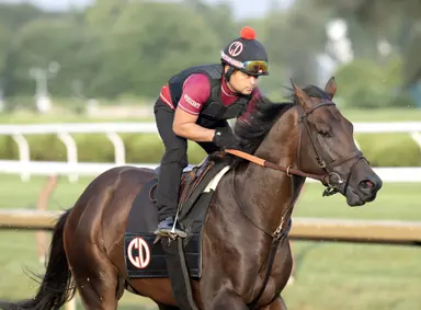 Jerkens expectations sky high for Englishman