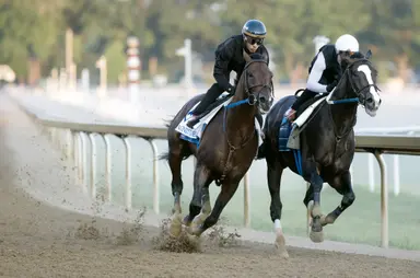 Magnitude sizzles in serious work for Whitney
