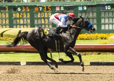 Rispoli returns in a big way on Baffert prospect Faran