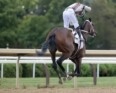 Summer Starlet storms down stretch to take Spinaway