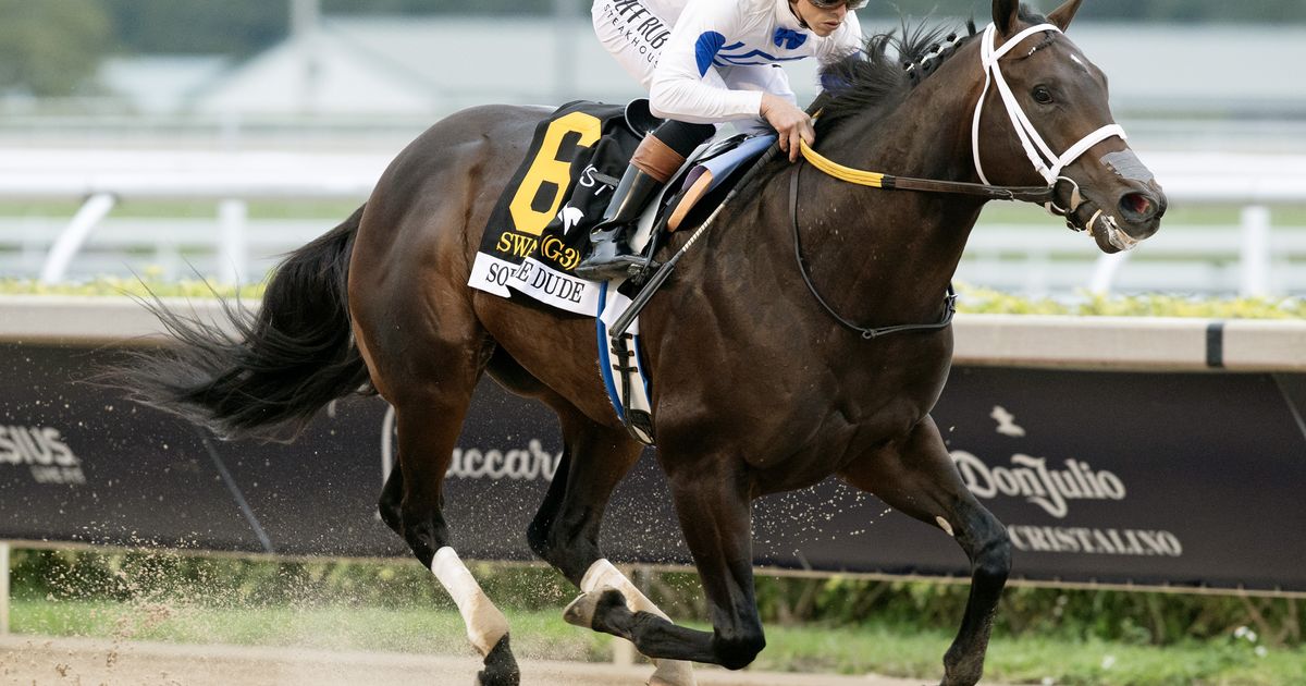 Solitude Dude leads cast of Joseph undercard invaders