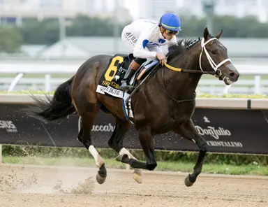 Solitude Dude leads cast of Joseph undercard invaders