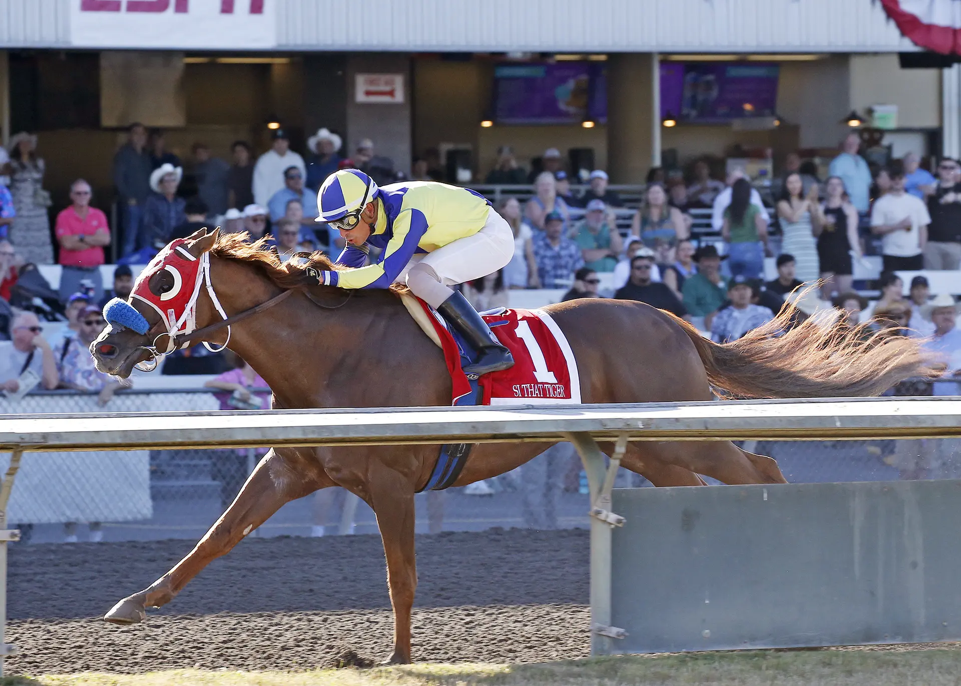 Si That Tiger snaps Slew's Tiz Whiz's Governor's Stakes streak